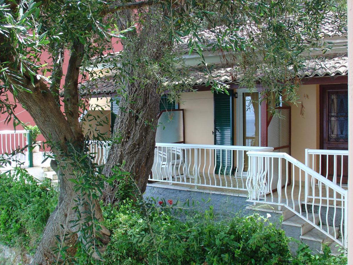 Hotel Oasis 3*